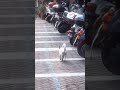 Snapinsta app video 369163932 280471917928586 851397653715879288 n