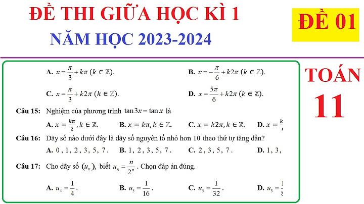 Bài văn số 6 lớp 11 đề 1 năm 2024