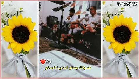 تلاوه عطره من قبل القارئ مجيد التميمي ستوريات انستا تلاوه جميله حالات واتساب تلاوه رائعه وجميله||🥀♥