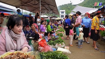 Chợ Vĩnh Yên Bảo Yên – Nơi Hội Tụ Thảo Dược Núi Rừng & Sản Vật Quý Ở Lào Cai