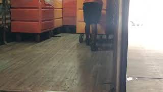 Rhino Stoppers (Cart Stoppers/Wheel Chocks)
