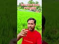 রিলস থেকে ইনকাম করতে চাইলে #reels #shorts #shortsfeed #youtubeshorts