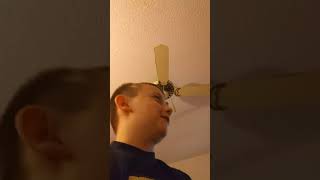 Vlupdatea