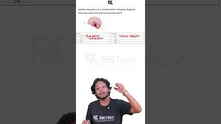 SSLC Biology Public Exam | 2 മിനുട്ടിൽ ⏰ 3 മാർക്ക് ഉറപ്പിക്കാം 💯 Brain - Most Repeated Question