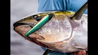 The Latest Lure Innovation From Japan, The Yo-Zuri Mag Dive
