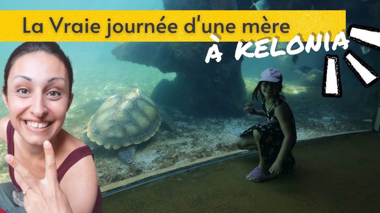 🐢​COMMENT SE PASSE VRAIMENT UNE JOURNEE DE MAMAN - On vous emmène à Kelonia + TURTLE QUIZZ à la fin