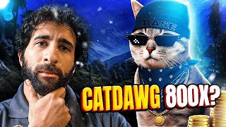 EPIC SWAG TRAIL! 🔥 CatDawg 🔥ONLINE PAL DEVOTION! by CryptoDexWorld 10,401 views 2 days ago 2 minutes, 49 seconds