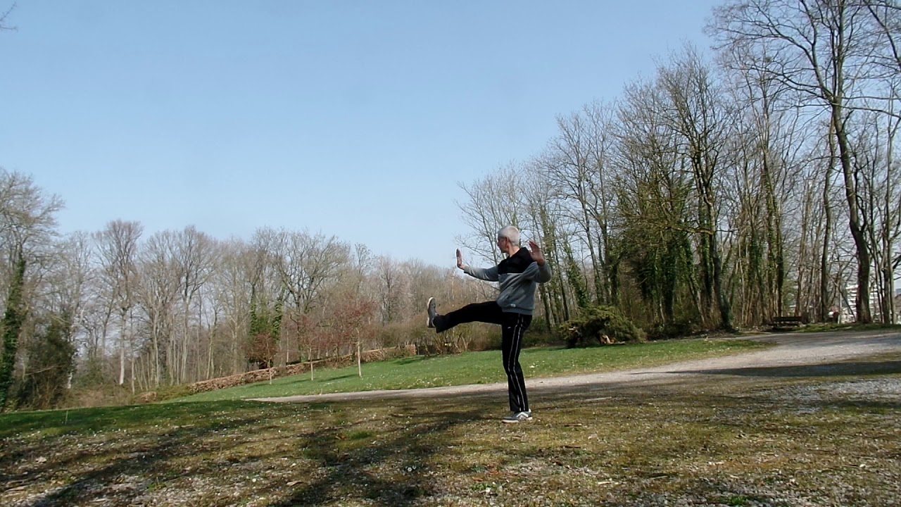 Tai Chi 40 Vorm Yang Stijl YouTube