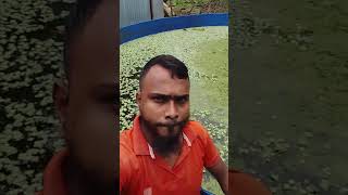 #ময়মনসিংহ জেলা ভালুকা থানা সৃষ্টির বাজার#cat #cat #duet #unfrez #cata #catwatch #kittytv
