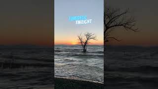 #shorts Lumidelic - Twilight