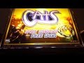Paradise Beach slot machine at Empire City casino - YouTube
