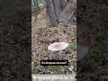 Брать или не брать?