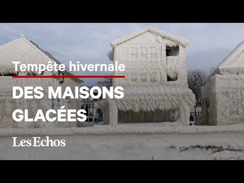 Vidéo: Maisons jumelées au Canada Vue sur la mer tranquille