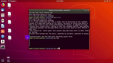 How to Use Cat & Tac Command in Linux Terminal | Basic Linux Commands | Cat & Tac Command in Linux