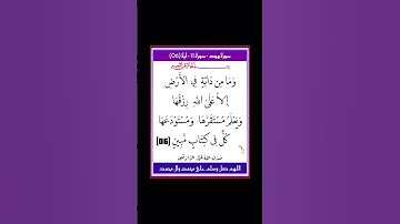 سورة هود - سورة 11 - اية 06