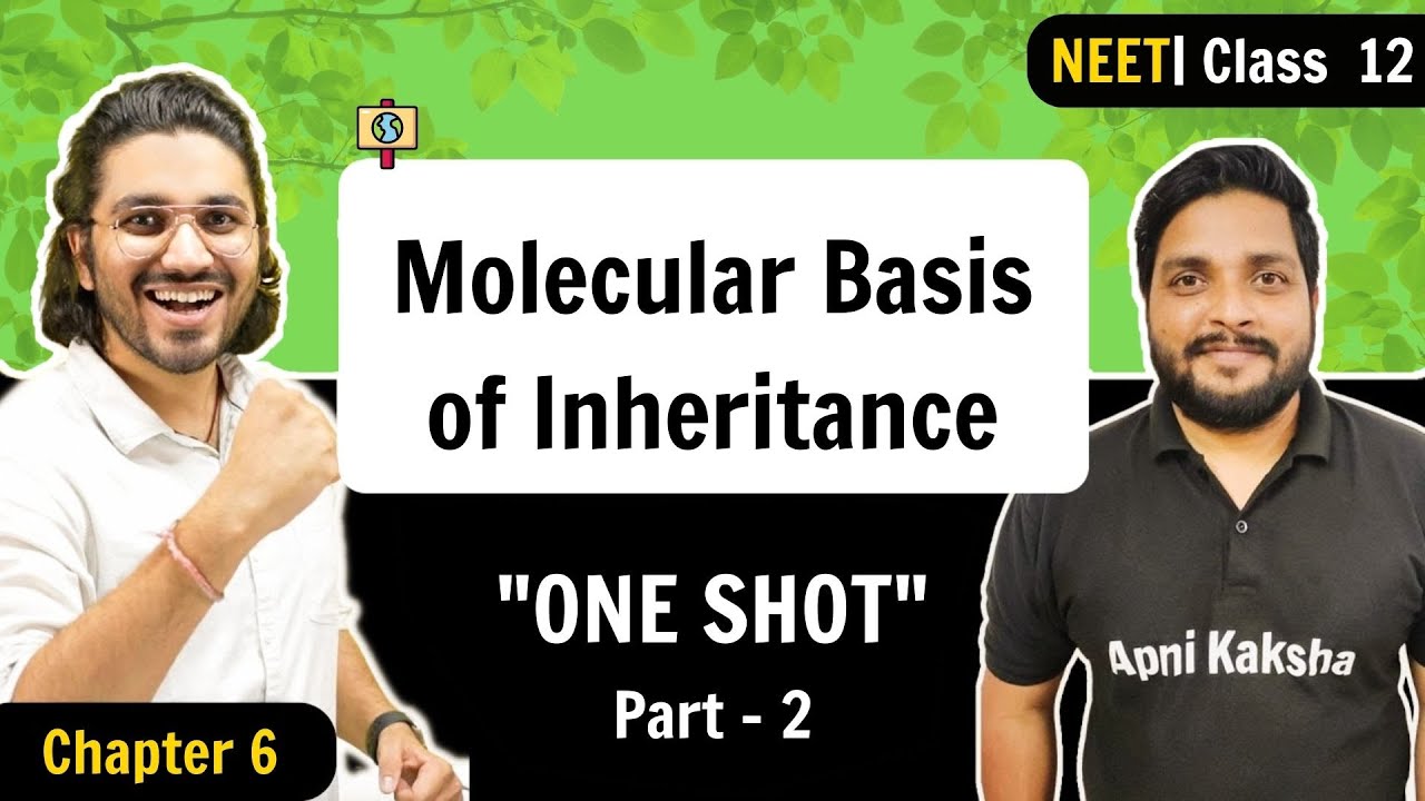 Molecular Basis of Inheritance | ONE SHOT | Part 2 | NEET 2023 ...