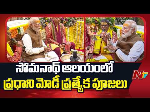 PM Modi Offers Prayers at Somnath Temple | NTV Telugu - NTVTELUGU