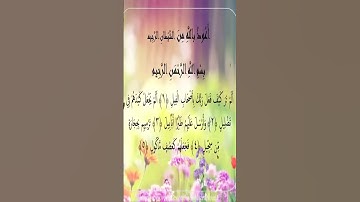 Sourate Al-Fil | Idriss Abkar (105) سورة الفيل | إدريس أبكر