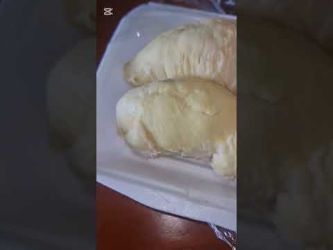 دوريان ببذور صغيرة شورت