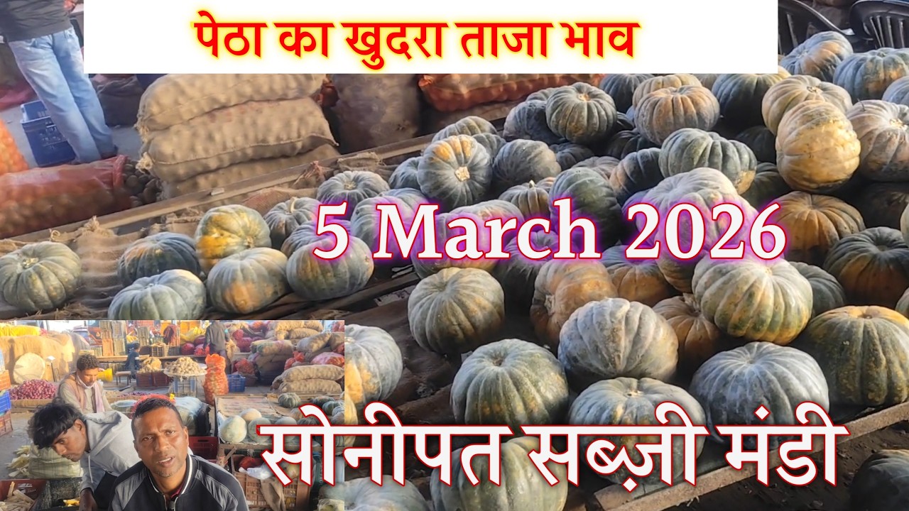 पेठा स्वीट कॉर्न और सफेद पेठा और टमाटर का रेट ताजा भाव सोनीपत सब्जी मंडी