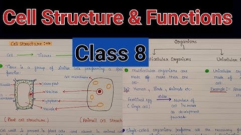 Cell structure and functions chapter 8 class 8 | Cell structure and functions class 8 notes
