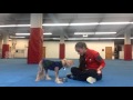 Dog Training: Teach Your Dog To Station Pt. 1 Dog Training: Teach Your Dog To Station Pt. 1