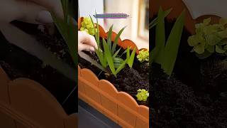 Grow Plants at Home from Kitchen Waste 🌿 (Easy Gardening Hacks)