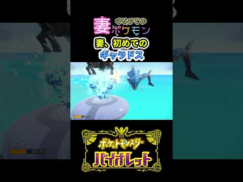 妻、大興奮　毎週土曜夜9時～ポケモンバイオレットをライブ配信しています！　#ポケモン #夫婦ゲーム #新人ゲーム実況者 ＃つがぽかゲーマーズ