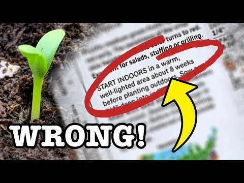 Wideo: Przewodnik po Strefie 3 Ogrodnictwo Warzywne - Wskazówki dotyczące Ogrodnictwa Warzywnego w Strefie 3