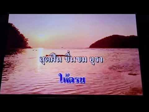 ปาหนัน Karaoke Alan  Cover