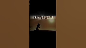 سورة نوح | سلمان العتيبي #٢