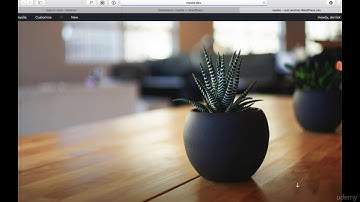 Reviewing preferences to speed up your workflow in "Local by Flywheel."