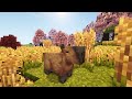NUOVA SERIE CON LE MOD - Minecraft VS Chat #1