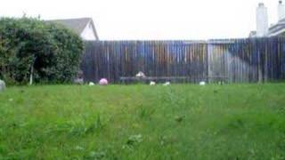 Test Shooting The Airsof Cm.028 Ak47 Metal Gearbox Aeg, Ag85