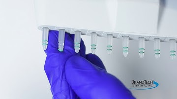 Transferpette Multichannel Pipette Tip-Ring Replacement