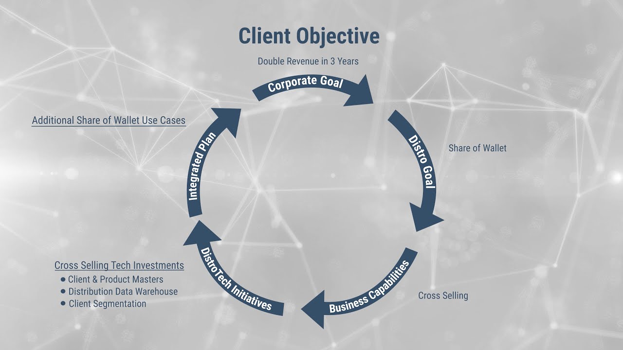 Distribution Architecture Model in Practice