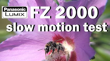 Panasonic Lumix FZ2000 - Slow motion test