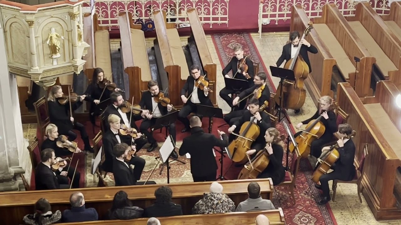 Jesu, Joy of Man’s Desiring - J. S. Bach (arr. for String Orchestra)