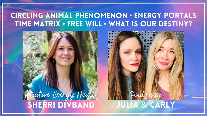 Circling Animal Phenomenon, Energy Portals, Time M...