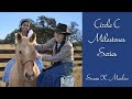 Circle C MIlestones series