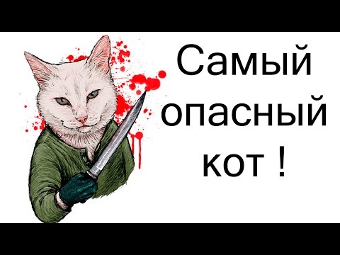 Самый опасный кот ! ( Furry fighter )