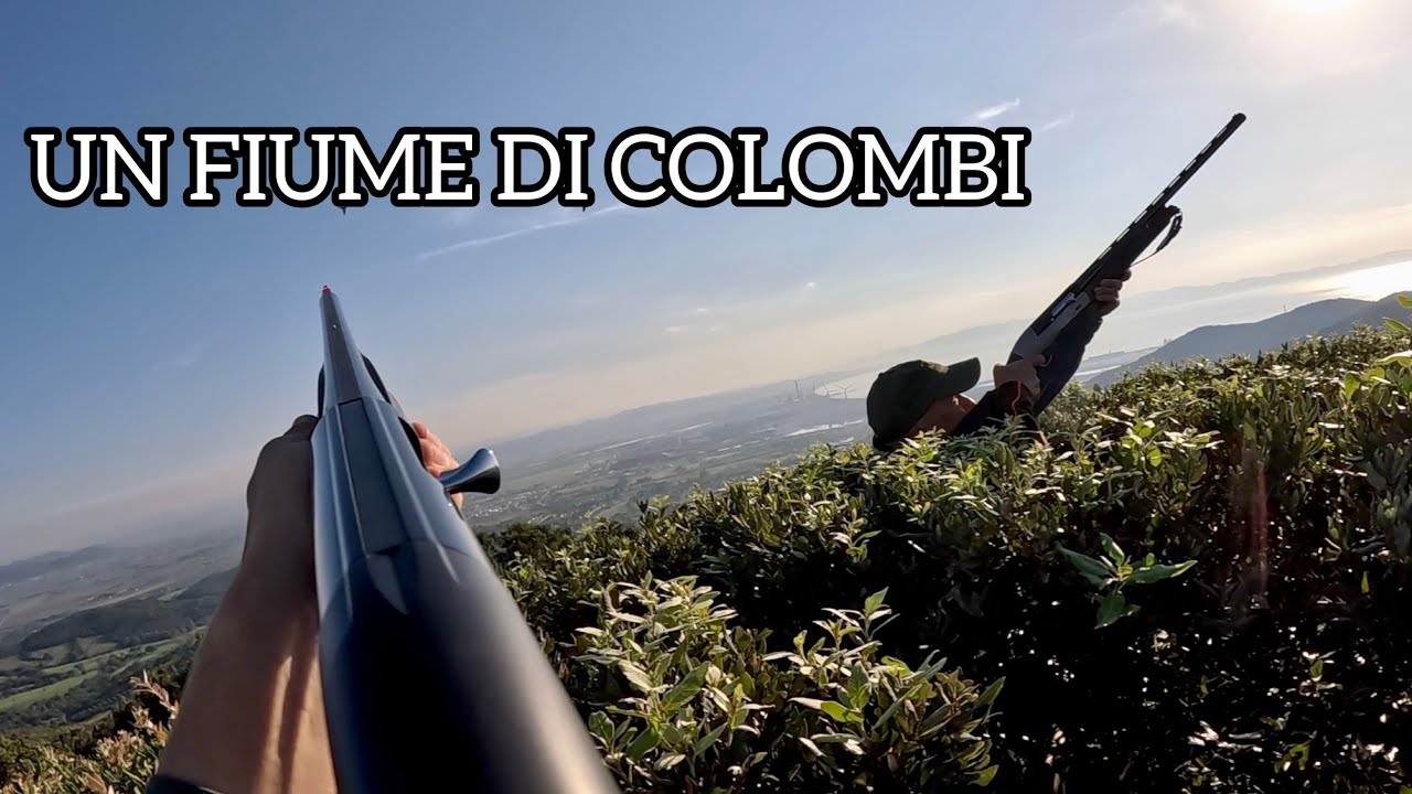 Caccia al colombaccio | BENELLI BE DIAMOND