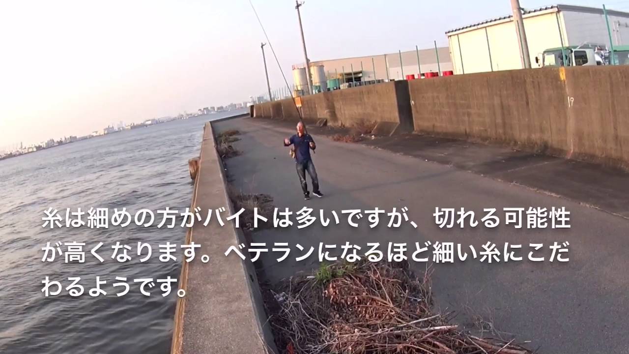 名古屋港のクロダイの釣り方を教えてもらいました Youtube