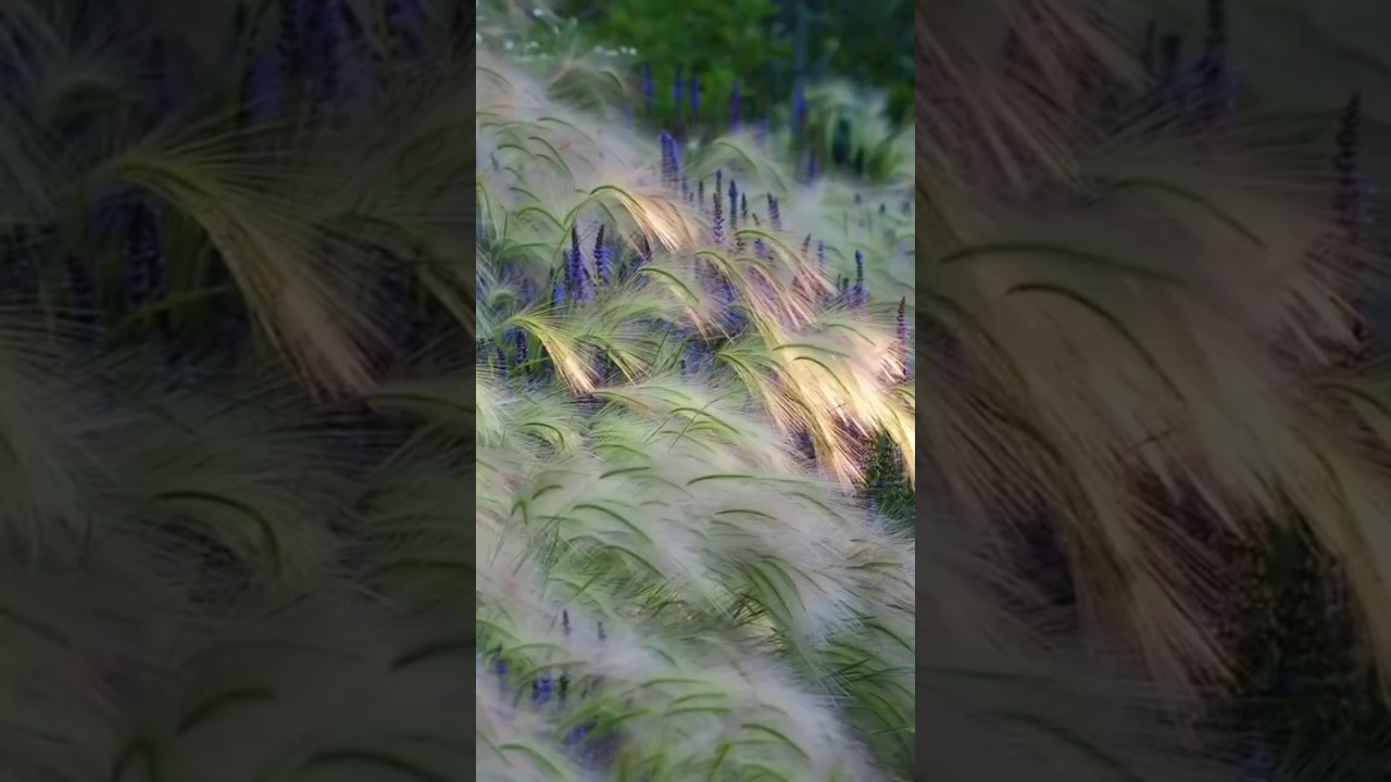 Deeni Malumat⚡⭐ Hadees