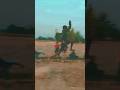 Saaiya ji saber kari #Long #Jump #Viral #Video #Youtube #Shorts