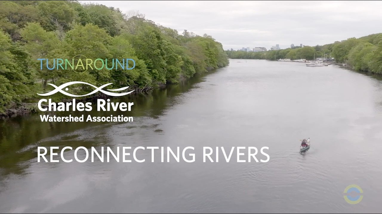 Reconnecting Rivers