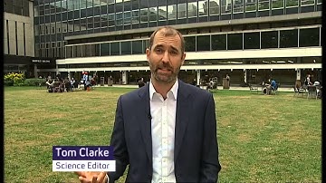 Higgs boson scientist wins Nobel prize for physics