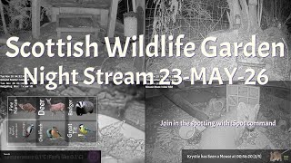 Night Stream May 23rd 2026 | Bird Feeders, Wildlife Cameras Scotland UK from SWG