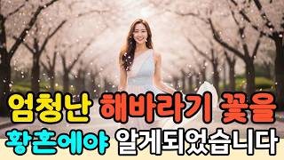 늦은 나이에 알게 된 그날의 마음#감동사연#황혼사연#노후지혜