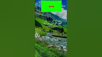 الشيخ ماهر المعيقلي #تلاوة_خاشعة #قرآن
